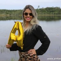 GUI_8591
