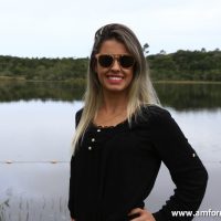 GUI_8595