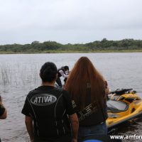 GUI_8881