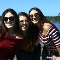 GUI_8947