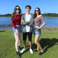 GUI_8954