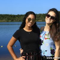 GUI_8980