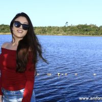 GUI_9151