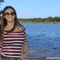 GUI_9165