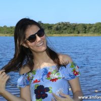 GUI_9226