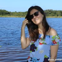 GUI_9227
