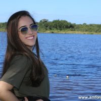 GUI_9238