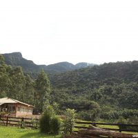 IMG_9119