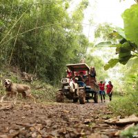 IMG_9205