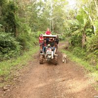 IMG_9235