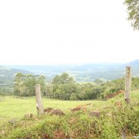 IMG_9286