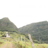 IMG_9311