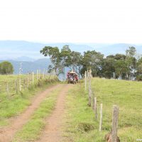 IMG_9312