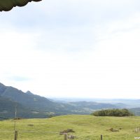 IMG_9353