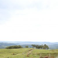 IMG_9354