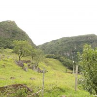 IMG_9485