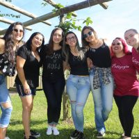 GUI_1647