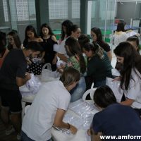 IMG_2597