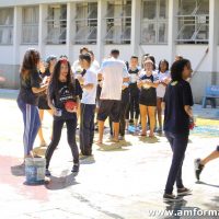 IMG_6252