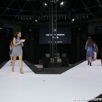 IMG_7547