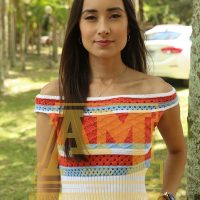 GUI_3725