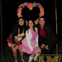 IMG_8091