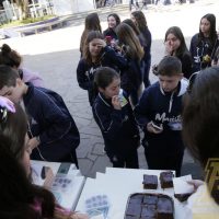 IMG_9228