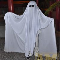 _FIL2422
