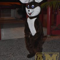 _FIL2429