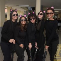 FIL_4684