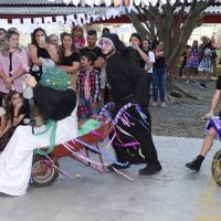 IMG_3206