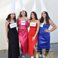 ZAP_1681