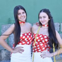 ZAP_3622