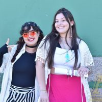 ZAP_3682