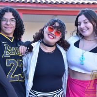 ZAP_3790