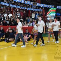ZAP_1694