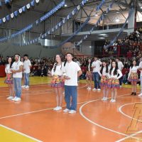 ZAP_1695