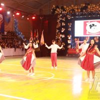 ELC_7719