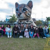 ILB_0520