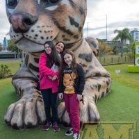 ILB_0538