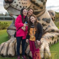 ILB_0541