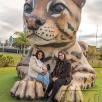 ILB_0542
