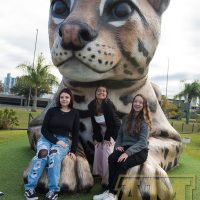 ILB_0546