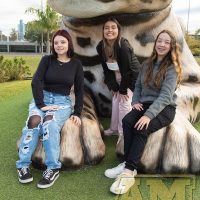 ILB_0548
