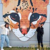 ILB_0579