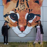 ILB_0588