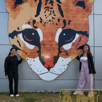 ILB_0589