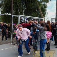 IMG_1246