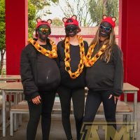 IMG_6734
