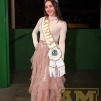 IMG_7054